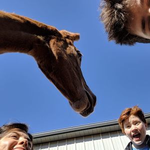 Meet your Posher, Heather